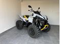 CAN-AM RENEGADE 2024 - 1