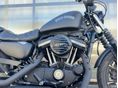 HARLEY-DAVIDSON SPORTSTER 883 2017/4 - 3