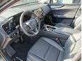LEXUS NX 2025 - 3