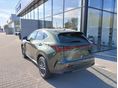 LEXUS NX 2025 - 2