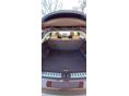 LEXUS RX 2018/12 - 12