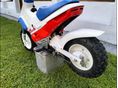 HONDA EZ 90 1991/1 - 6