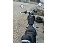 YAMAHA XV 250 (VIRAGO) 1994/5 - 3