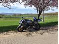 YAMAHA YZF R1 2006/4 - 6