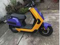 NIU NCARGO 2022/5 - 5
