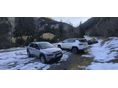 CITROEN C4 CACTUS 1.2 PureTech Feel S&S EURO6.2