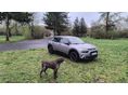 CITROEN C4 CACTUS 2018/12 - 7