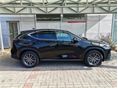 LEXUS NX 2025/6 - 4