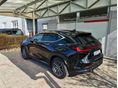 LEXUS NX 2025/6 - 6