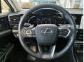 LEXUS NX 2025/6 - 24