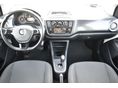 VOLKSWAGEN UP 2019/3 - 7