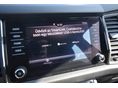 SKODA KODIAQ 2019/12 - 12