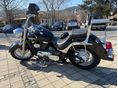 SUZUKI VL 800 (INTRUDER) 