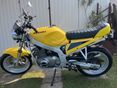 SUZUKI GS 500 E 2001/3 - 2