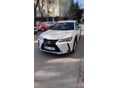 LEXUS UX 250h Comfort Top 4WD CVT