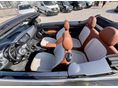 VOLKSWAGEN NEW BEETLE 2017/3 - 11