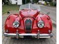 JAGUAR XK 1954/11 - 3