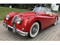 JAGUAR XK 1954/11 - 2