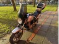 HONDA CBF 500 2007/6 - 2