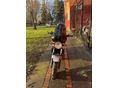 HONDA CBF 500 2007/6 - 3