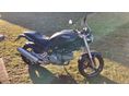 DUCATI MONSTER 600 2000 - 8