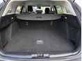 FORD FOCUS 2019/10 - 9