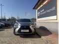 LEXUS NX 2025/1 - 6