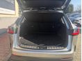 LEXUS NX 2025/1 - 12