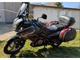 SUZUKI DL 1000 2008/1 - 3