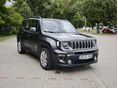 JEEP RENEGADE 2019/1 - 2