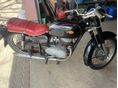 PANNONIA T1 