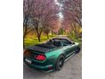 FORD MUSTANG 2016/4 - 4