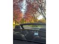 FORD MUSTANG 2016/4 - 5
