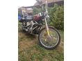 HARLEY-DAVIDSON SOFTAIL 2010/6 - 5