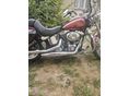 HARLEY-DAVIDSON SOFTAIL 2010/6 - 8