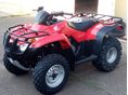 HONDA TRX 250 TM 