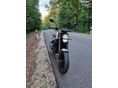 BENELLI LEONCINO 250 2019 - 2