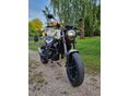 BENELLI LEONCINO 250 