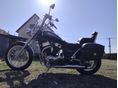 SUZUKI VS 1400 (INTRUDER) Intruder