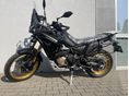 VOGE DS800X RALLY 2026/1 - 2