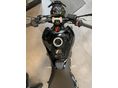 TRIUMPH TRIDENT 2026/3 - 6