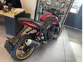 TRIUMPH TRIDENT 2026/3 - 3
