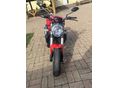 DUCATI MONSTER 821 2016/5 - 4