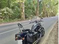 SUZUKI VZ 800 (INTRUDER) 2007 - 2