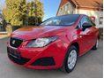 SEAT IBIZA 2011/3 - 5
