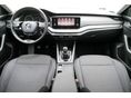 SKODA OCTAVIA 2022/9 - 7