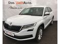 SKODA KODIAQ 2020/2 - 1