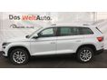 SKODA KODIAQ 2020/2 - 3