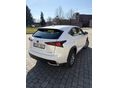 LEXUS NX 2021/6 - 4