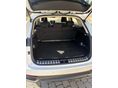 LEXUS NX 2021/6 - 8